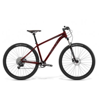 AMULET 29 Night cat 6.0 SH, wine red matt/dark grey matt, 2022 17/M